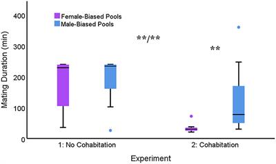 Plasticity of Mating Duration in Response to Slightly Biased Operational Sex Ratios in the Water Strider (Aquarius remigis): The Effect of Cohabitation Under Standard Laboratory Conditions